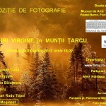 Afis-Expo-Timisoara-Apr-2013-Muzeu-e1366380571353