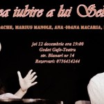 Rodica Mandache, Marius Manole-Marea iubire a lui Sebastian_foto_Anca Robu