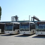 autobuze-RATB1