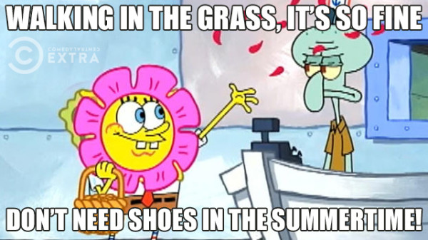 ccx summer meme 03
