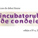 concurs-IDC-2013