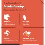 incubatorship2-01