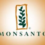 monsanto_77015